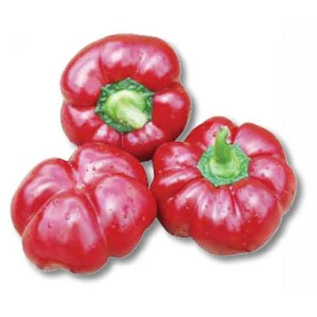 Vegetables