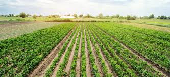 My farm 33